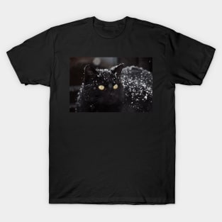 Halloween kitty T-Shirt